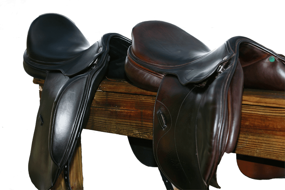 Equestrian Imports your fullservice online source for topquality