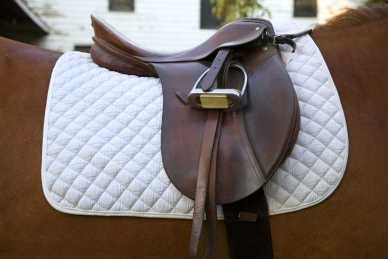 My saddle keeps sliding back when riding, what can I do? Equestrian