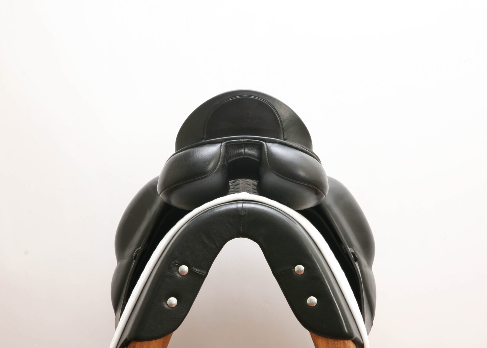Sangle De Dressage Albion Ultima - Noire - Neuve Pour Cheval